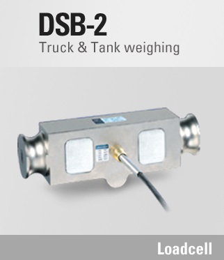 DSB-2